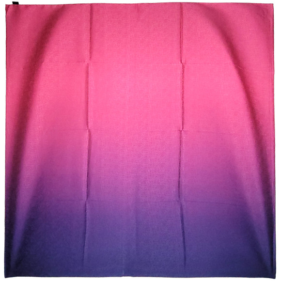 NWT Double Sided Silk Scarf 52